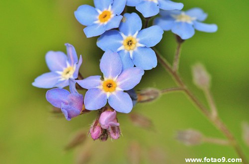 周公解梦梦见生气 周公解梦梦见生孩子