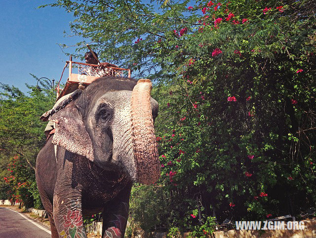 周公解梦磕头跪拜 女人梦见寺庙磕头跪拜