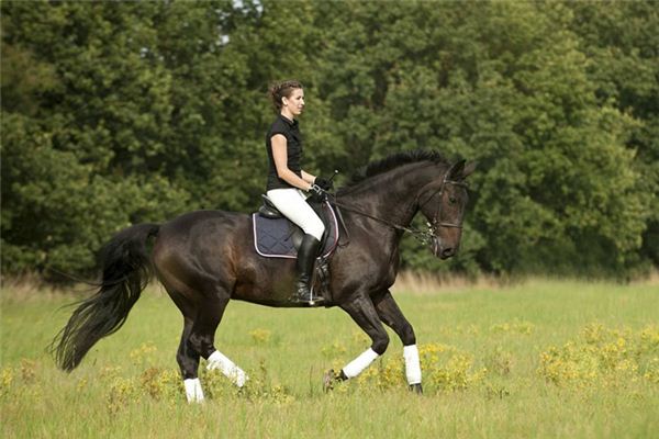 周公解梦骑马 男人梦见自己骑马预示什么 周公解梦骑马 男人梦见自己骑马预示什么