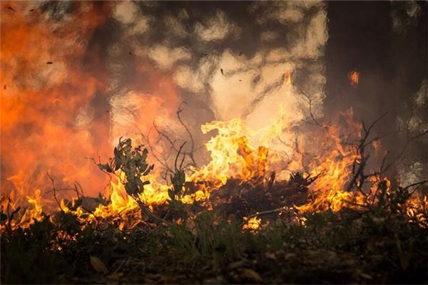 梦到周公解梦 周公解梦汉程网