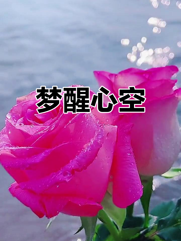 昨天梦见 昨天梦见手表碎了是什么预兆