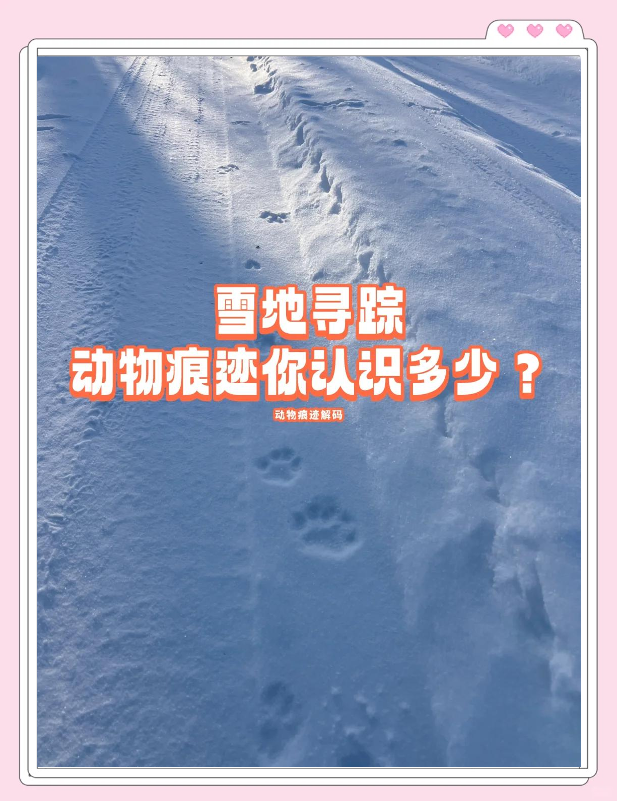 周公解梦赤脚走雪地 周公解梦梦见赤脚走路