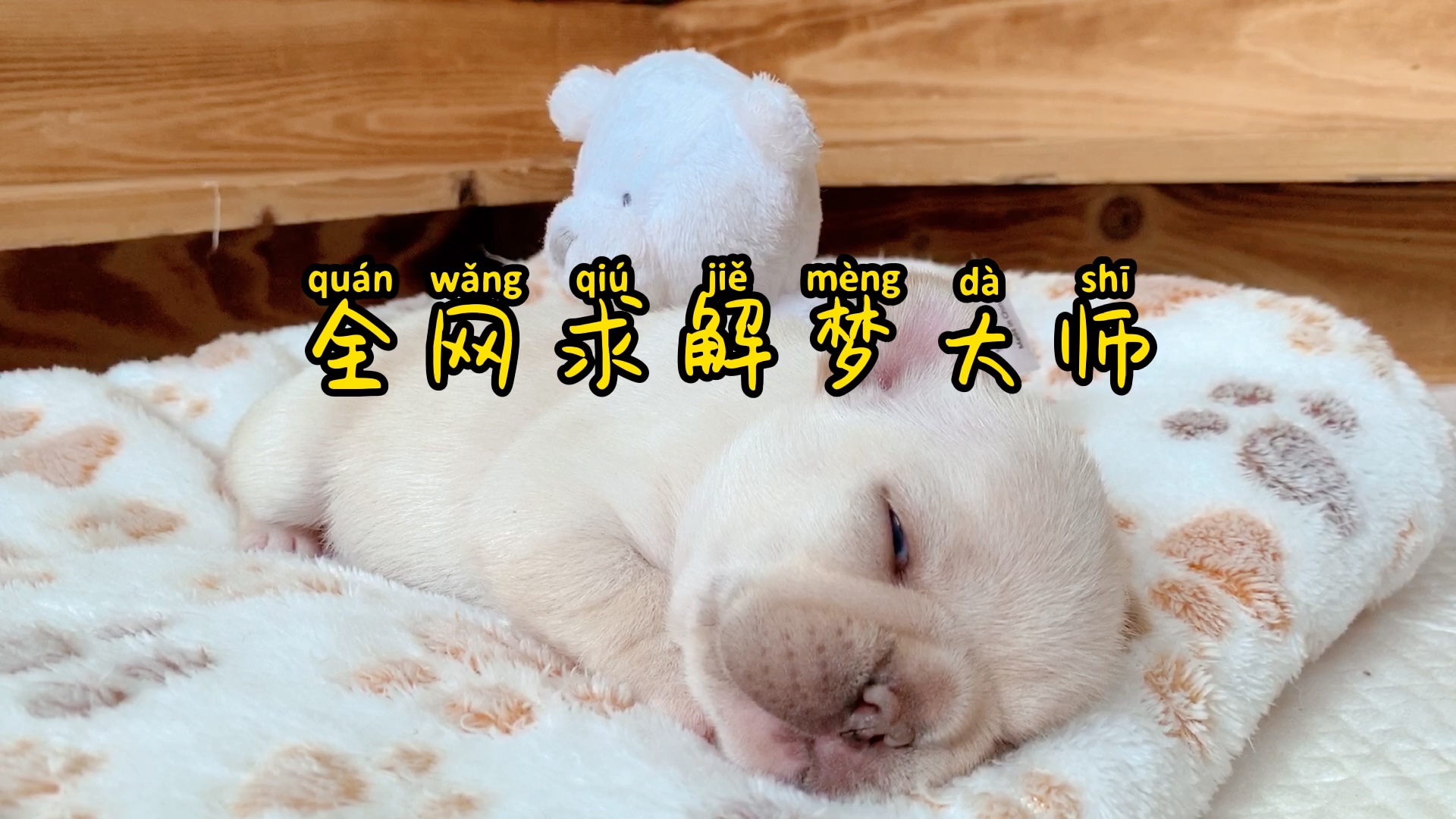 求解梦大师 周公解梦大全官网查询