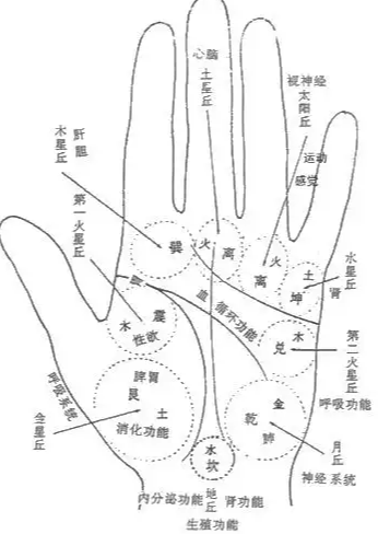 如何看相算命 易经看面相算命图解
