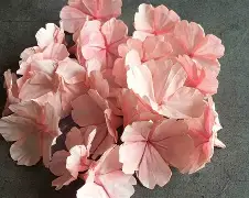 解梦大全梦见死人 解梦大全梦见死人什么意思 解梦大全梦见死人 解梦大全梦见死人什么意思