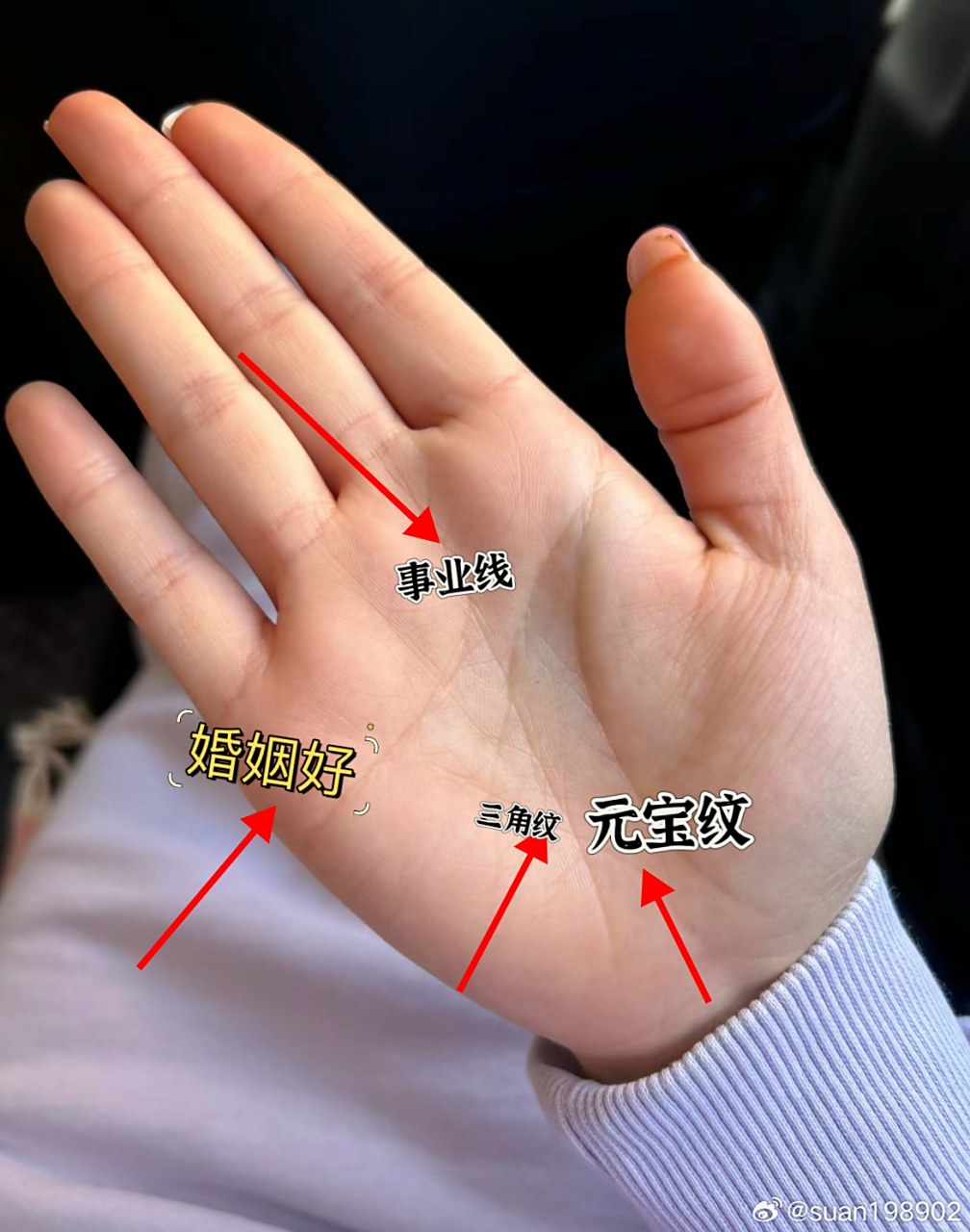 首相算命 手相算命图解大全生命线