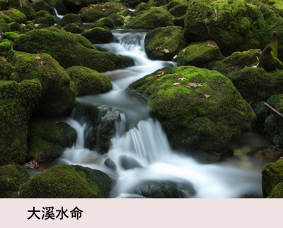 解梦周公解梦大全查询水 周公解梦原版周公解梦大全查询