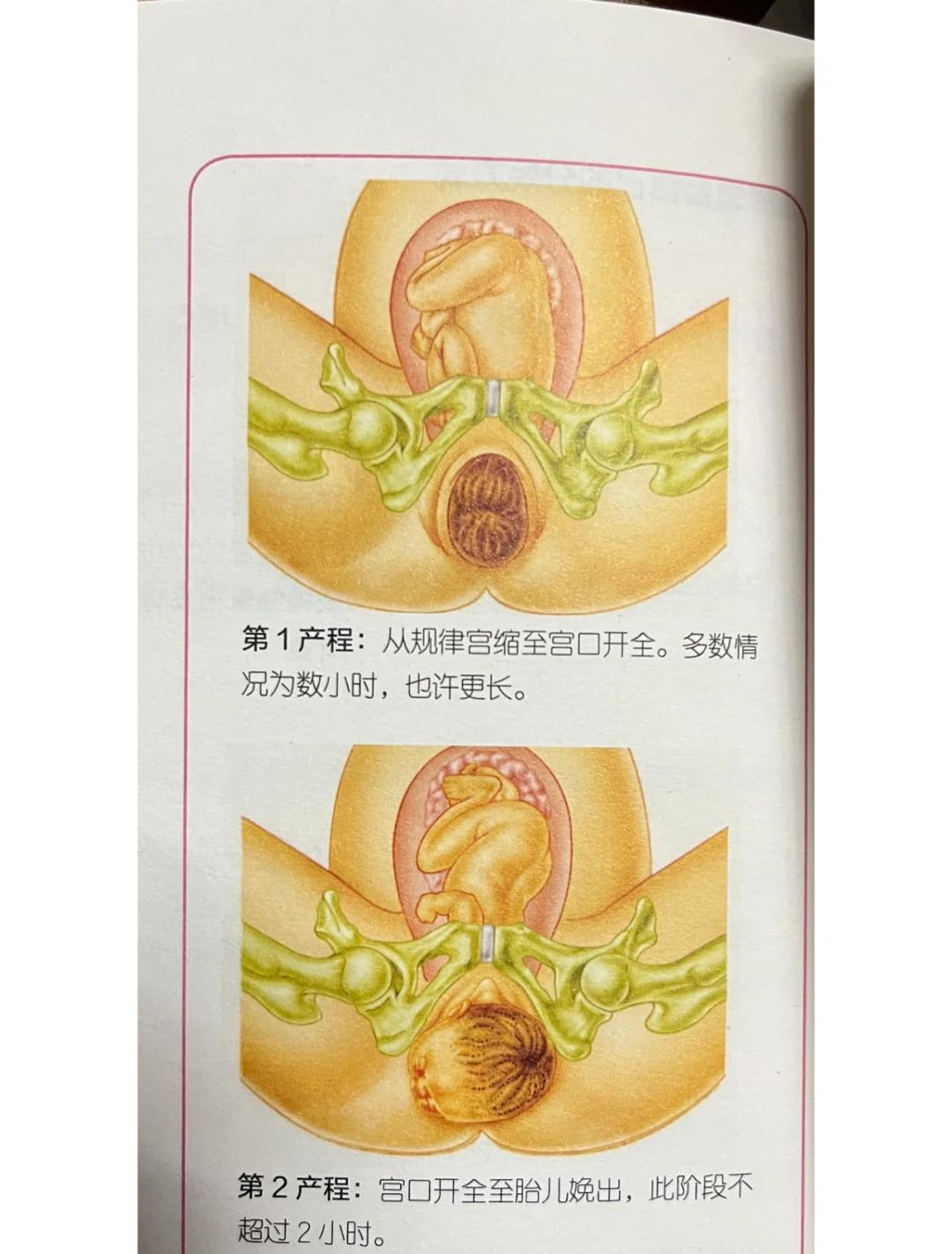 周公解梦大全生孩子 周公解梦大全免费解梦