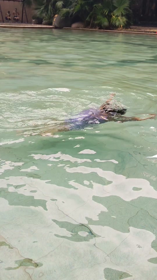 周公解梦水中行走 梦到在水里走路什么意思