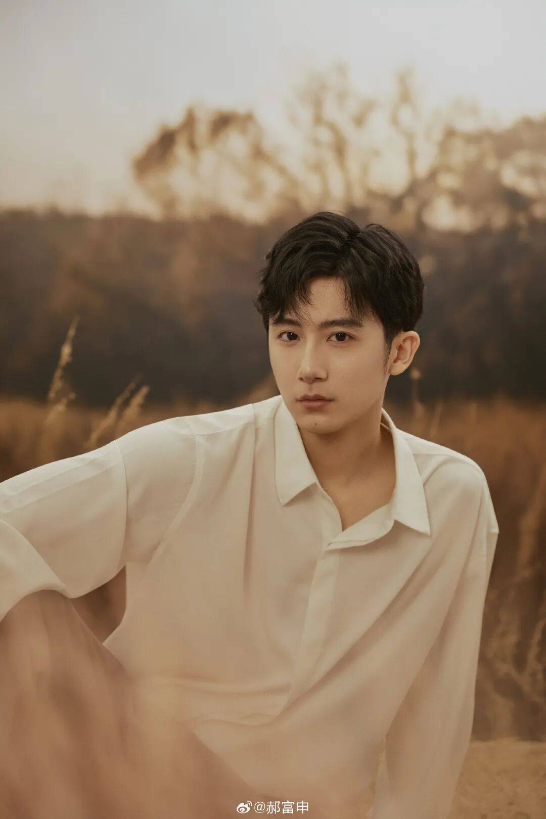 胡先煦郝富申占卜 胡先煦郝富申有互动吗