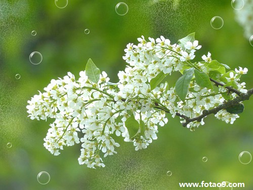 周公解梦沸滔解梦 周公解梦大全官网查询