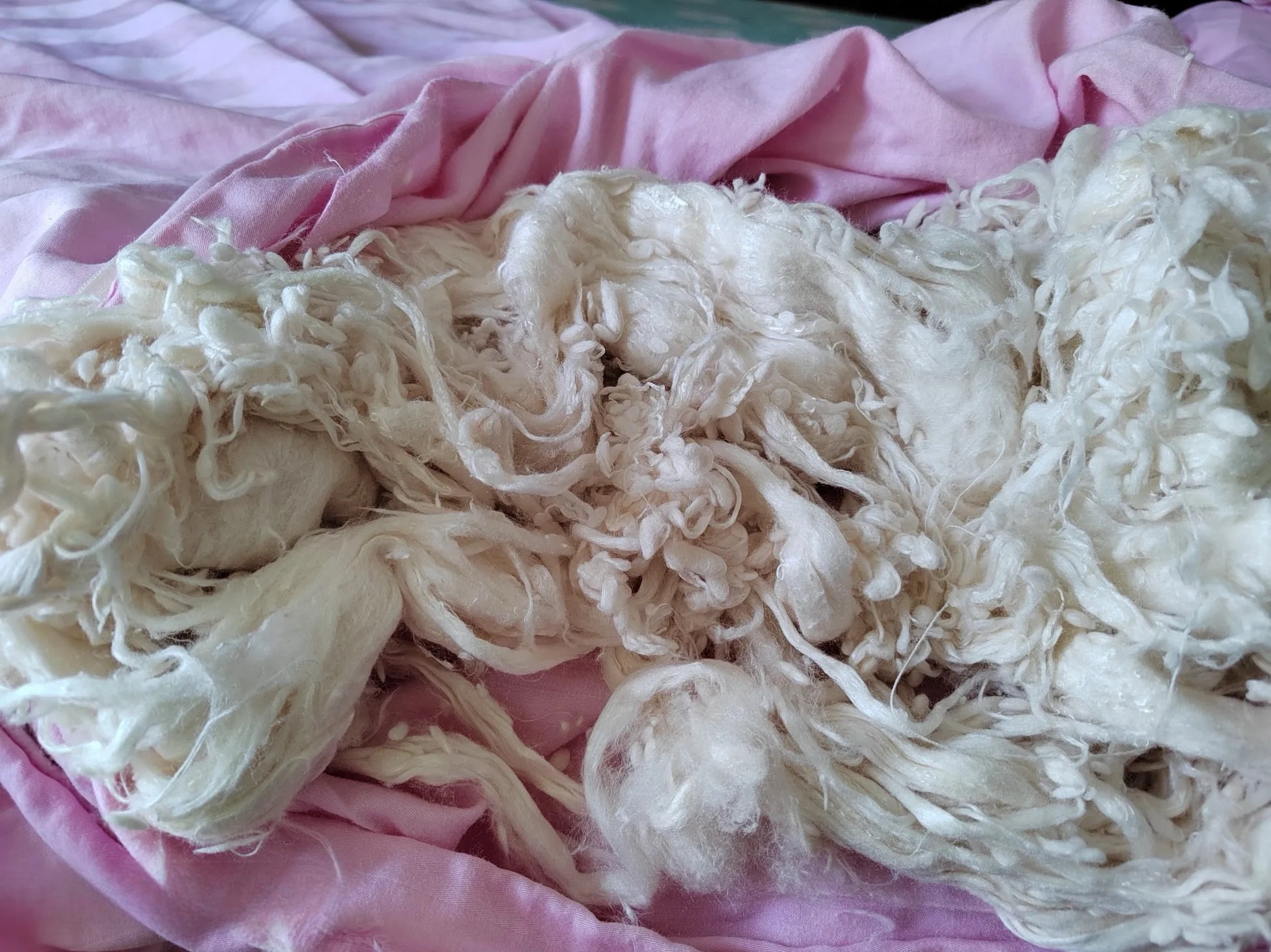 原版周公解梦被子 出道仙梦中棉被的暗示