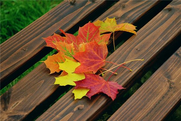 做梦洗衣服周公解梦 做梦洗衣服洗不完是什么原因