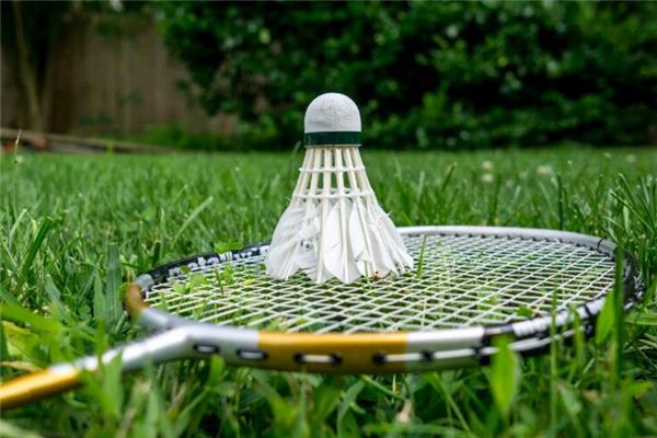 周公解梦打羽毛球 做梦梦到打羽毛球比赛