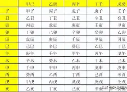 1989年1月14日是什么星座的简单介绍