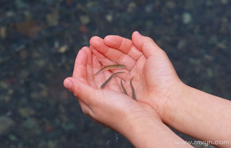 周公解梦徒手抓鱼 梦到自己徒手抓鱼是什么征兆