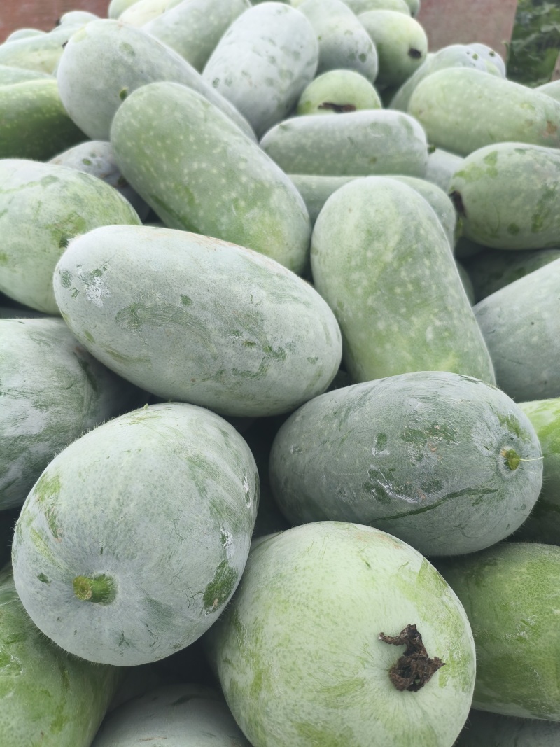 周公解梦冬瓜 女人梦见冬瓜的预兆