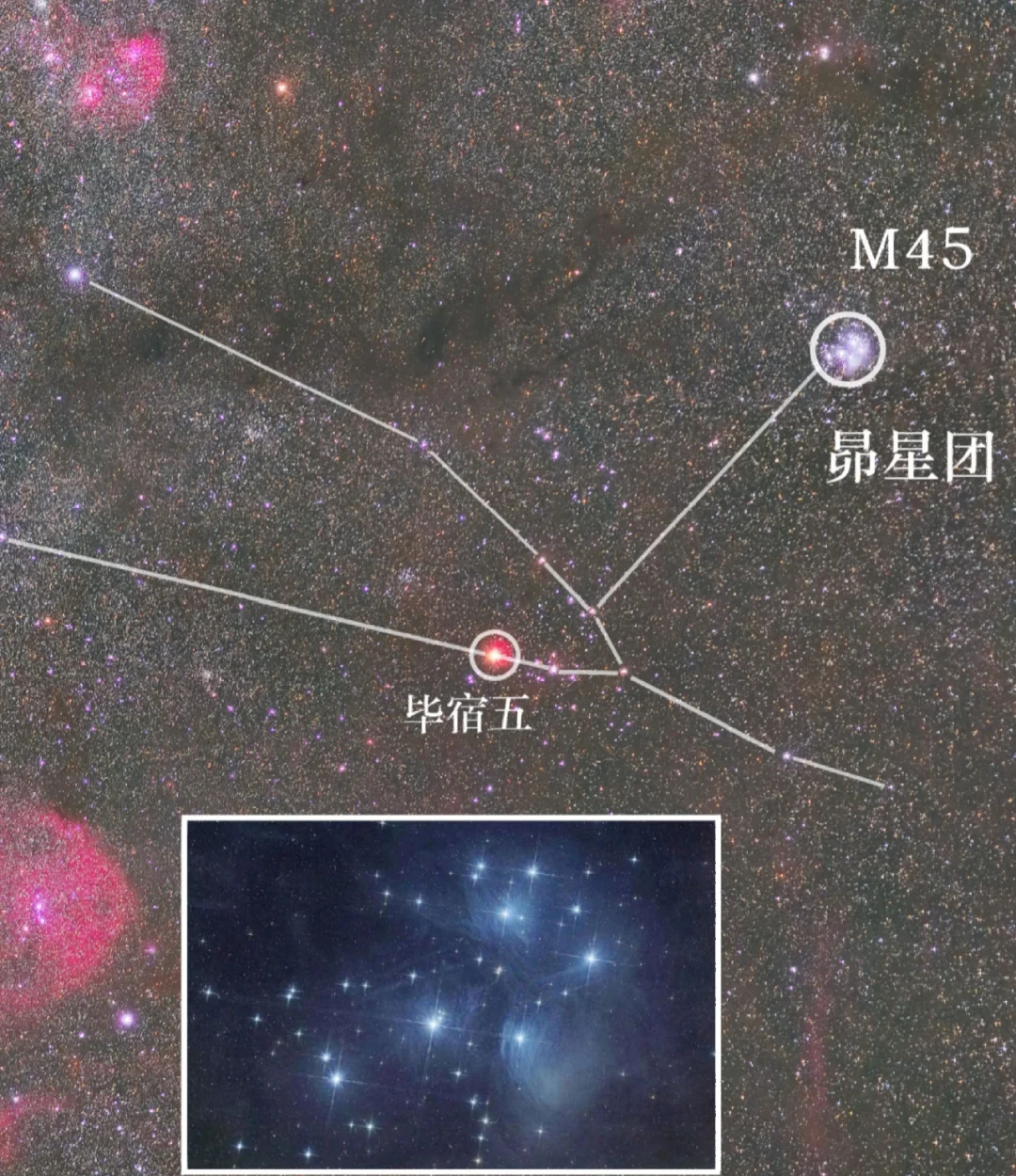 1027号是什么星座的 10月27日什么星座男性格