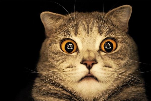 周公解梦什么意思 周公解梦梦见和女人吵架