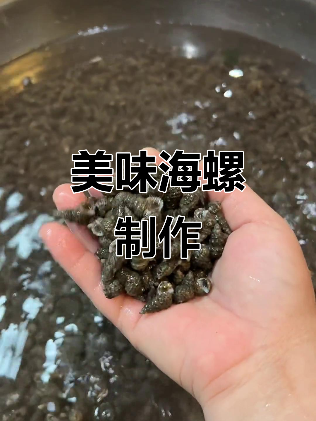 周公解梦海螺 女人梦见海螺要发财