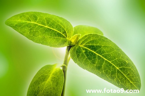 周公解梦梦见朋友 中老年女性梦到和丈夫的朋友争执