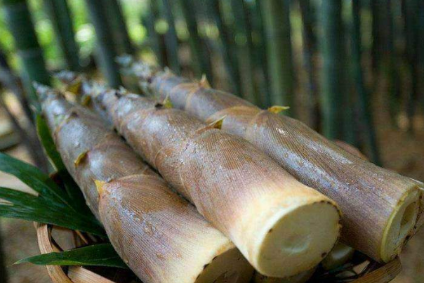 周公解梦梦到 86749cσm周公解梦