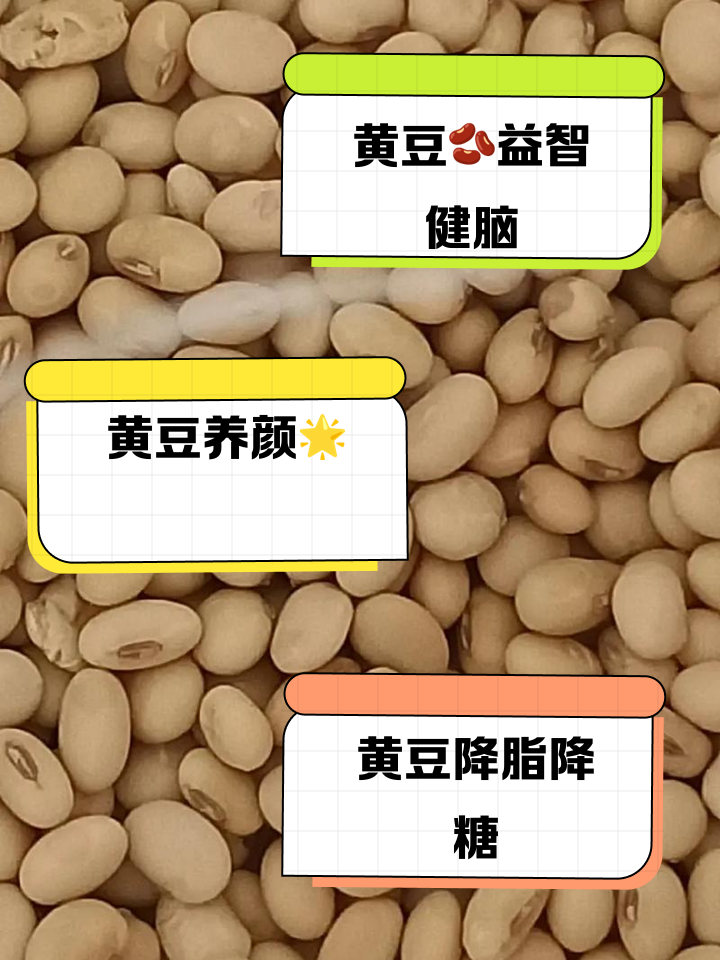 周公解梦黄豆 梦见黄豆原版周公解梦