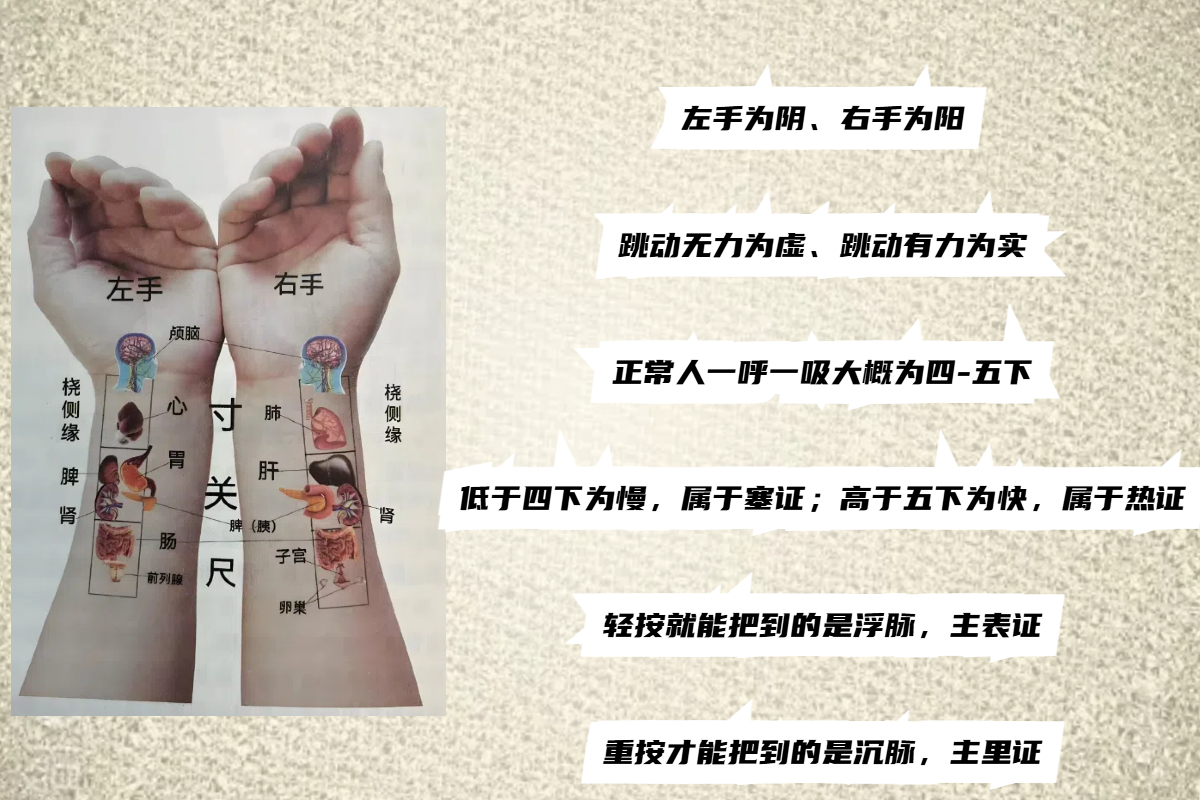 把脉算命 把脉算命是依据什么