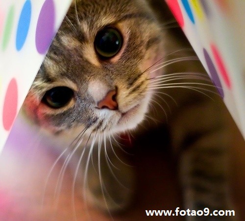 周公解梦梦见一 周公解梦大全查询