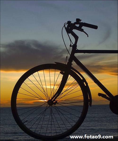 周公解梦丢汽车 梦车丢了到处找车是什么征兆