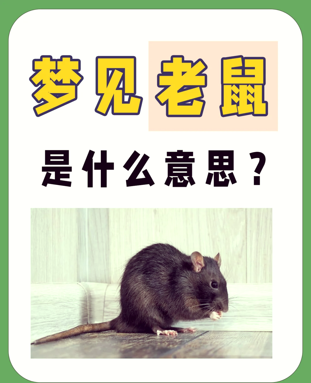 解梦打死老鼠 周公解梦打死老鼠