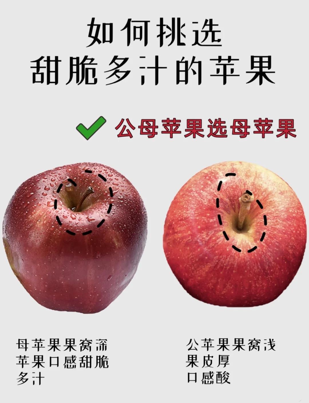 周公解梦苹果 周公解梦苹果什么意思