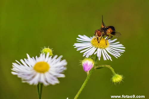 周公解梦行李箱 下载周公解梦大全原版免费