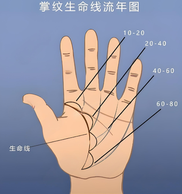免费手相算命 看手相免费测试扫一扫