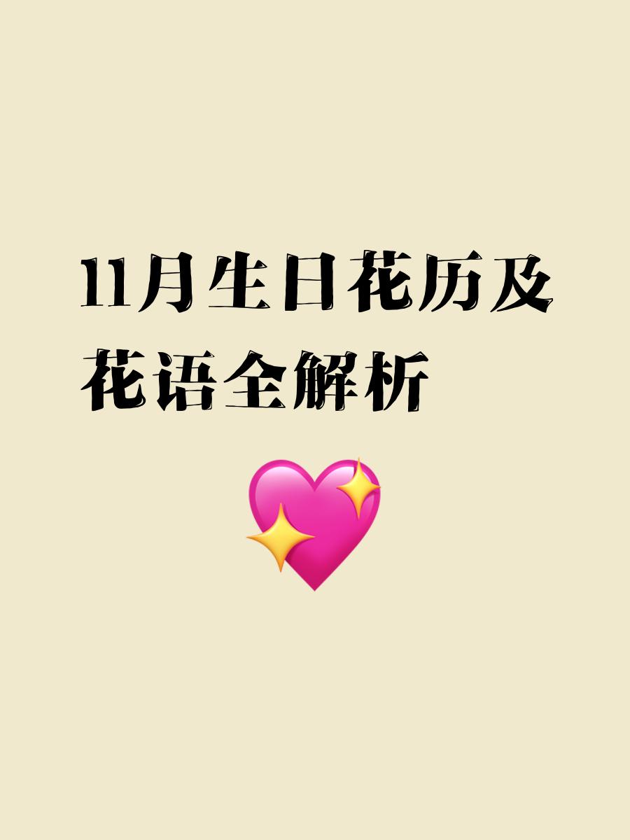 11月11日生日是什么星座 2010,11月11日是啥星座