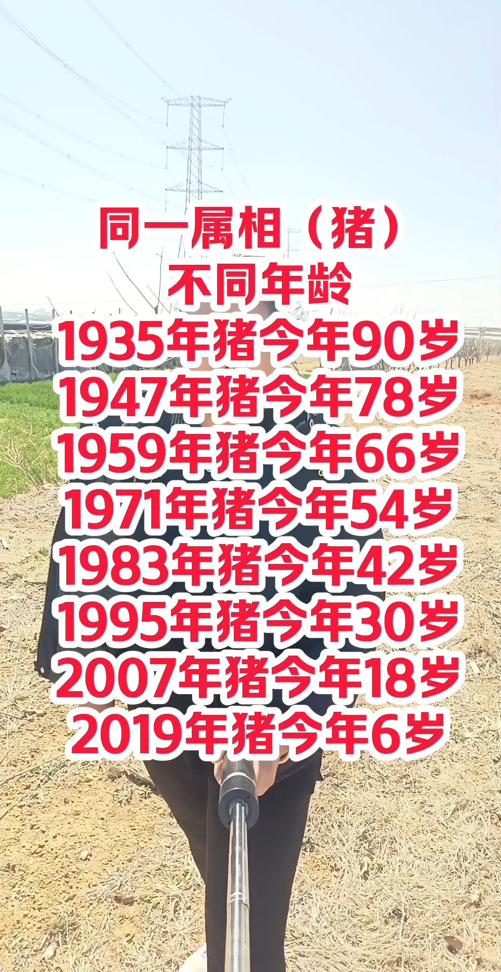 1983年属猪的是什么星座 1983年属猪2026年星座屋