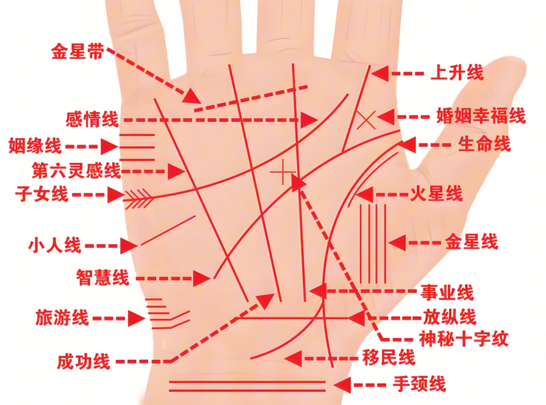 如何看掌纹线算命图解 看手相算命图解女性右手