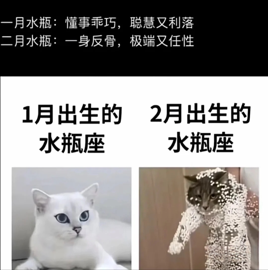 1980年2月27日是什么星座 农历1980年1月5日是什么星座