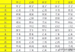 关于1989年5月11日是什么星座的信息